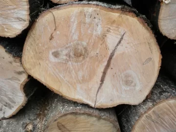 [Hearth.com] Log 35 ID. Lets see if I got this one right...