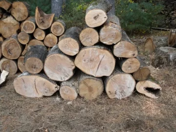 [Hearth.com] Log 35 ID. Lets see if I got this one right...