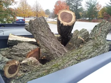 [Hearth.com] Morning commute scrounge and wood ID