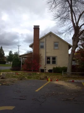 [Hearth.com] Pre storm felling