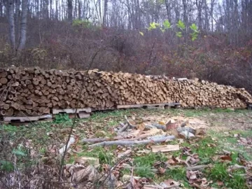 [Hearth.com] My first year's progress (PIC HEAVY)