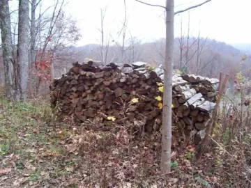 [Hearth.com] My first year's progress (PIC HEAVY)