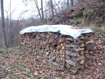 [Hearth.com] My first year's progress (PIC HEAVY)