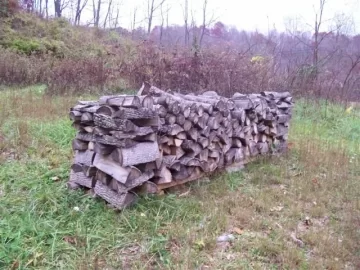 [Hearth.com] My first year's progress (PIC HEAVY)