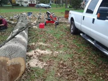 [Hearth.com] Pre storm felling