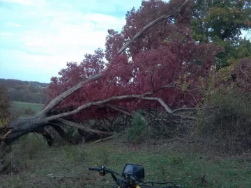 [Hearth.com] Last weeks storm damage