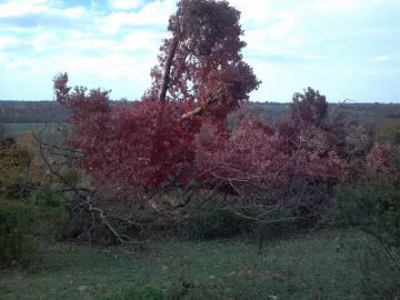 [Hearth.com] Last weeks storm damage