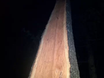 [Hearth.com] Last weeks storm damage