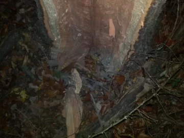 [Hearth.com] Last weeks storm damage