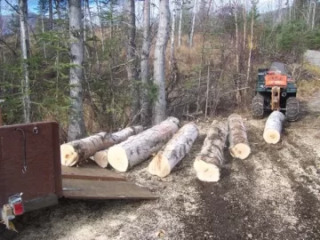 [Hearth.com] New-Revised "the 14 (+) times I handle fire wood process" (Pics)