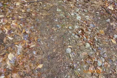 [Hearth.com] Trail Maintenance