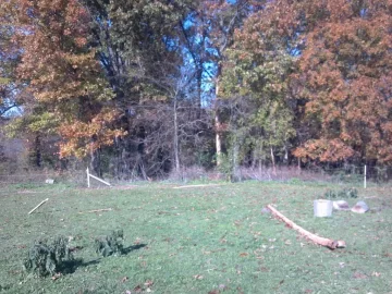 [Hearth.com] Last weeks storm damage