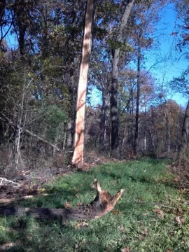 [Hearth.com] Last weeks storm damage