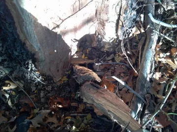 [Hearth.com] Last weeks storm damage