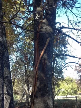 [Hearth.com] Last weeks storm damage