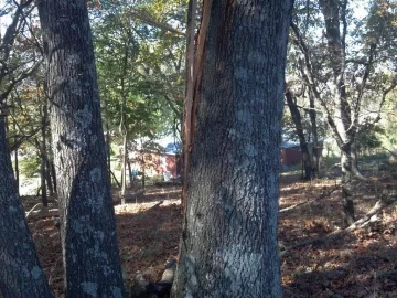 [Hearth.com] Last weeks storm damage