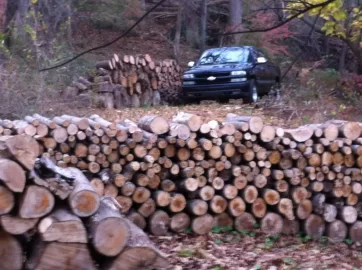 [Hearth.com] A little pre-Sandy cutting...(pics)