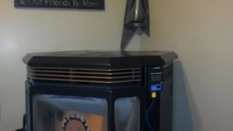 [Hearth.com] Never thought I'd have a pet pellet stove