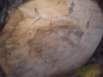 [Hearth.com] Tree ID please...