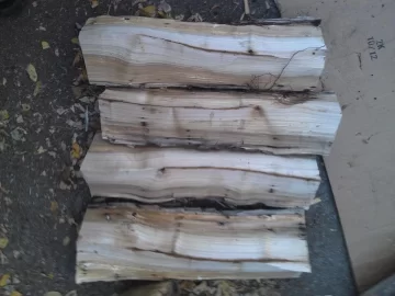 [Hearth.com] Tree ID please...