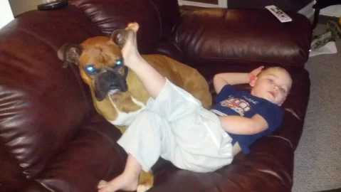 [Hearth.com] Dog pics. Overdone I know but I love dogs, especially Rottweilers. Letâ€™s see â€™em