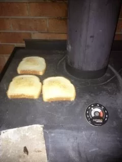 [Hearth.com] Saved my bacon...