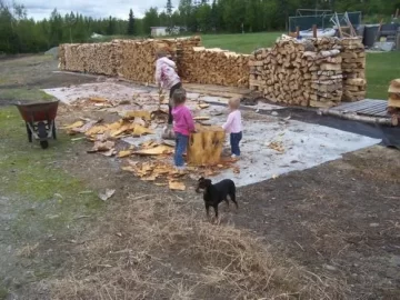 [Hearth.com] Never had so much wood/ The plan: