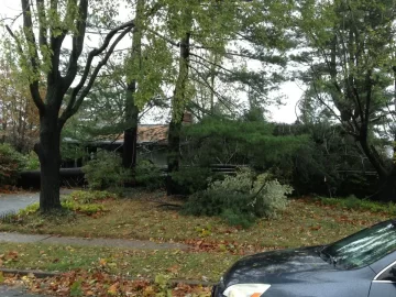 [Hearth.com] Sandy Wallops Levittown, PA