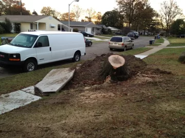 [Hearth.com] Sandy Wallops Levittown, PA