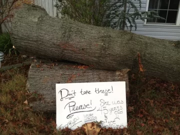 [Hearth.com] Sandy Wallops Levittown, PA