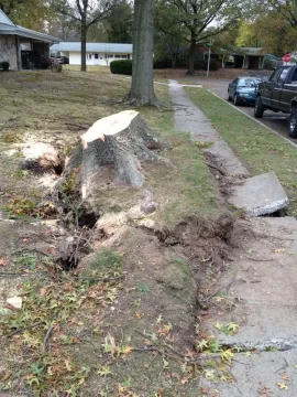 [Hearth.com] Sandy Wallops Levittown, PA