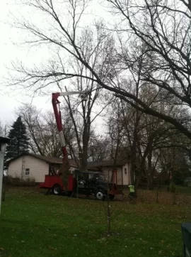 [Hearth.com] I like this tree service drop off!