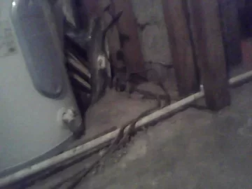 [Hearth.com] Curious about old oil heater chimney in basement.