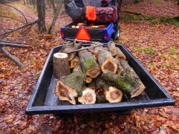[Hearth.com] Ironwood/ 2nd Load