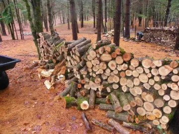 [Hearth.com] Ironwood/ 2nd Load