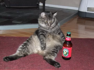 [Hearth.com] Re: Contributing to my cat's juvenile delinquency