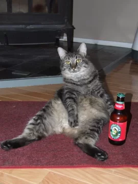 [Hearth.com] Re: Contributing to my cat's juvenile delinquency