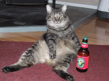 [Hearth.com] Re: Contributing to my cat's juvenile delinquency