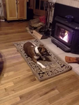 [Hearth.com] After Sandy, Some Things Bring You Comfort