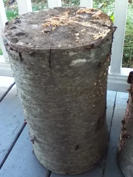 [Hearth.com] quick wood ID?