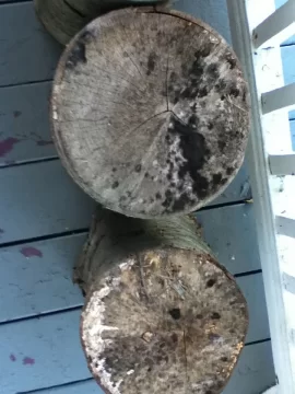[Hearth.com] quick wood ID?