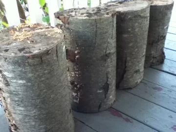 [Hearth.com] quick wood ID?