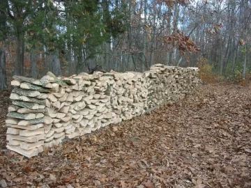 [Hearth.com] Got off the oak for a minute