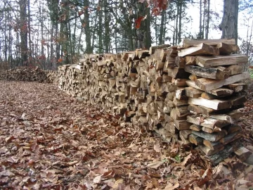[Hearth.com] Got off the oak for a minute
