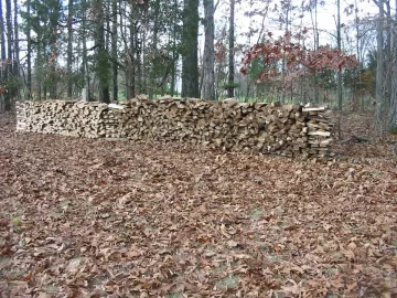 [Hearth.com] Got off the oak for a minute