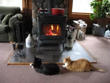 [Hearth.com] Alderlea T-5 hybrid stove!