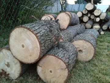 [Hearth.com] Wood u have an IDea?