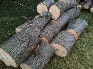 [Hearth.com] Wood u have an IDea?