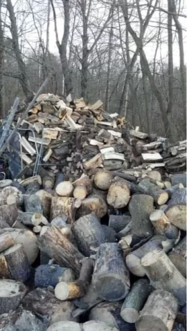 [Hearth.com] It's just a couple cords....