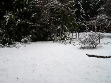 [Hearth.com] What is happening to Canada`s california?